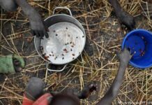 Thellohet kriza e ushqimeve në botë