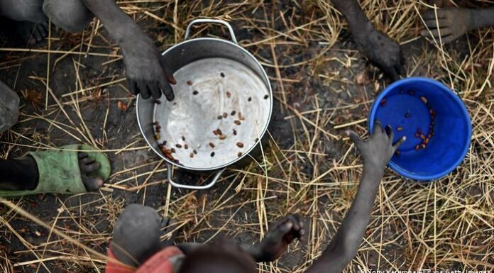 Thellohet kriza e ushqimeve në botë