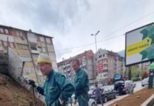 Bëhet rregullimi hortikulturor tek tregu i qytetit