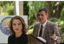 Reagon Arafat Shabani ndaj rastit të Besiana Mehmedit