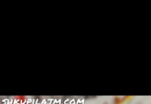 Dhuratë e veçantë për kryetarin Visar Ganiu nga FC Shkupi (FOTO)