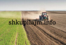 Eksperti i bujqësisë: Toka që s’punohet duhet t’i kthehet shtetit.