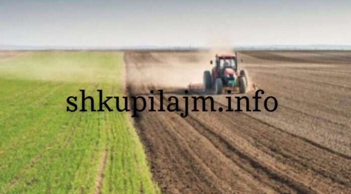 Eksperti i bujqësisë: Toka që s’punohet duhet t’i kthehet shtetit.