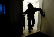 Ndalohet hajduti nga Tetova, e vjedhura i kthehet pronarit